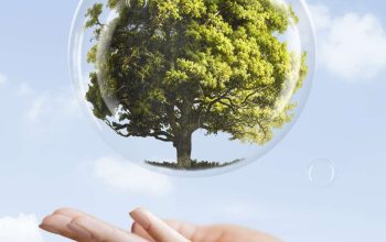 earth-day-campaign-hand-showing-tree-bubble-media-mix